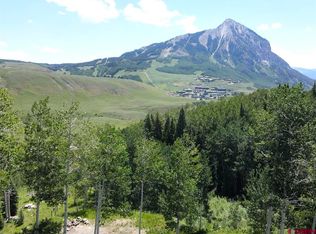 227 Phoenix Way, Crested Butte, CO 81224