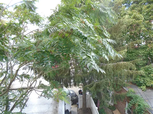 Rented by 18 REALTY | media 17