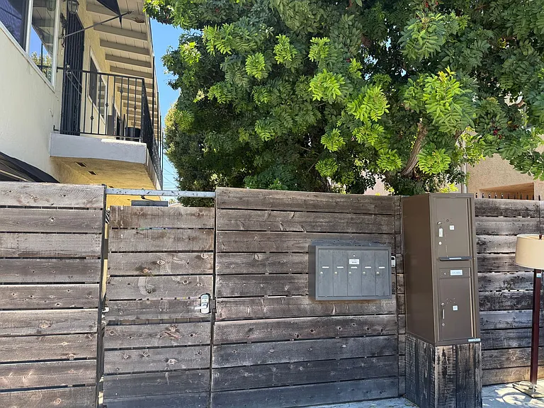 Chamoune Ave — Photo 12