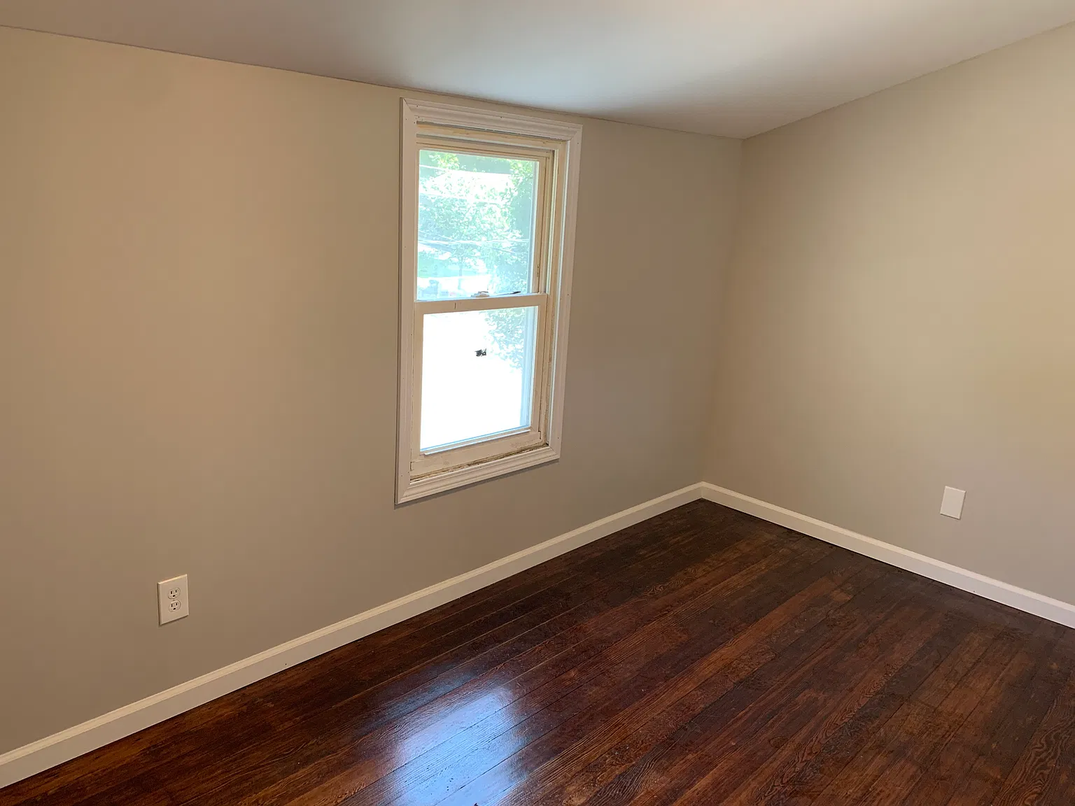 1 bed, 525 sqft, $800 — Photo 4