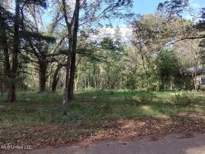 Wickliffe Rd, Natchez, MS, 39120