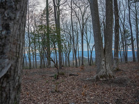2nd image of 0 Mountain Laurel Ln #69