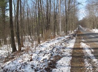 0 Demming Rd, South Plymouth, NY 13844