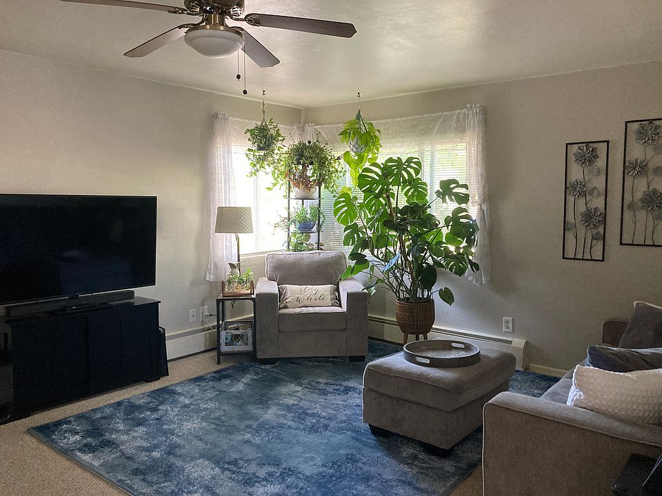 Living room with abundant corner windows. Ceiling fan. Carpeted.