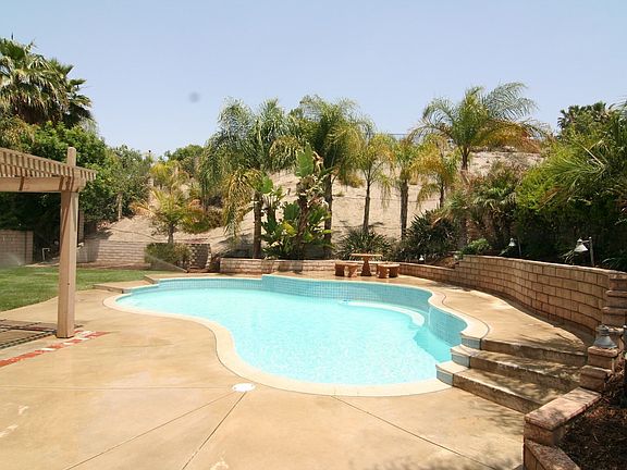 Pool and Tropical Landscaping