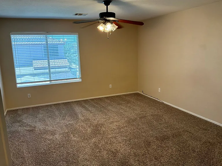 10115 Lemon Thyme St — Photo 56