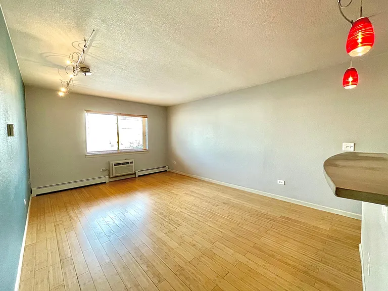 1231 N Downing St #203 — Photo 6