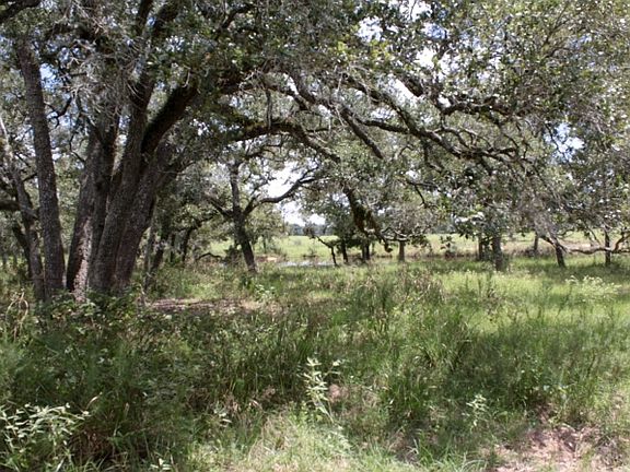 4th image of 456 Private Road 1050