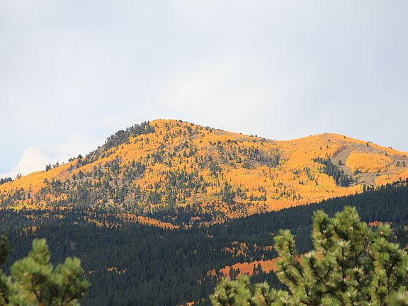 neighborhood view in fall