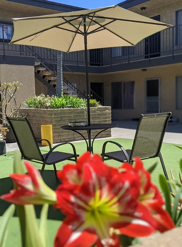 Vanderbilt West Apartments — Photo 2