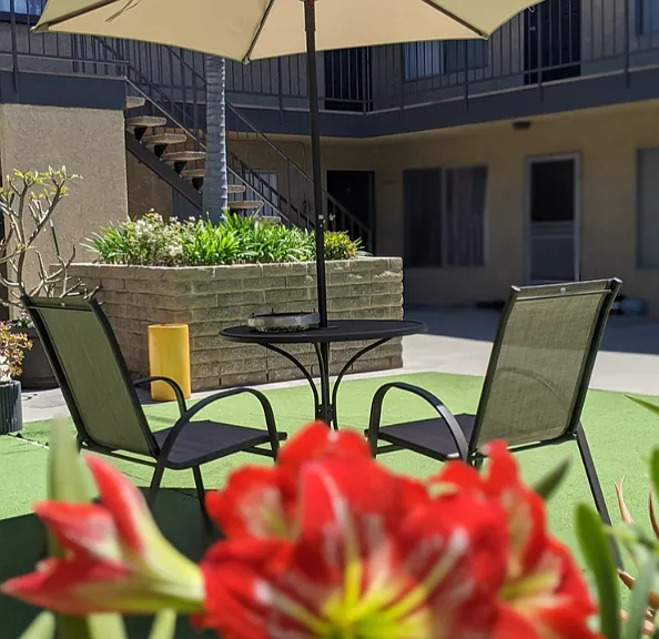 Vanderbilt West Apartments — Photo 7