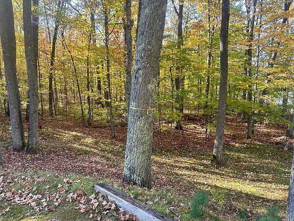 5th image of 11404 N Farnsworth Rd