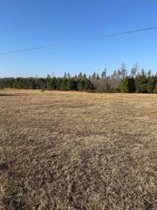 85 Orchard Rd, Greenbrier, AR, 72058