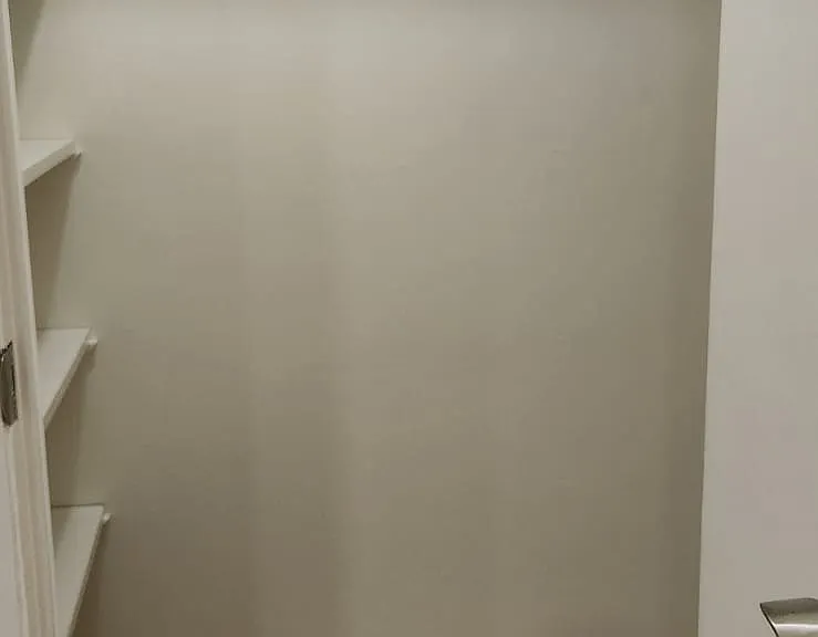 Closet at entrance hallway with carpet