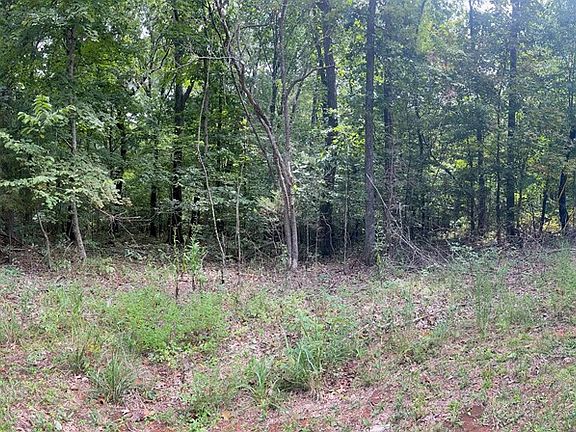 2nd image of LOT 2 Martinsville Trl