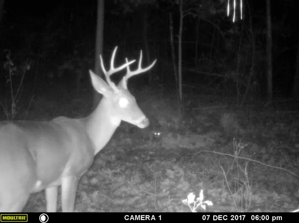 Tbd White Rock Rd, Vass, NC 28394