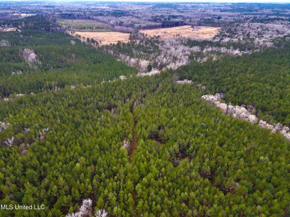Pea Ridge Rd, Harrisville, MS 39082
