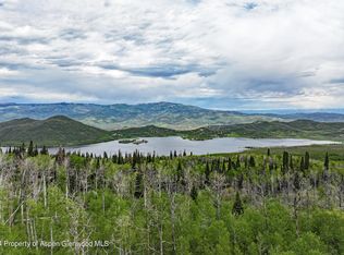 1390 Overlook Dr, Collbran, CO 81624