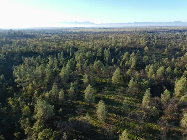Buffalo Dr, Anderson, CA 96007