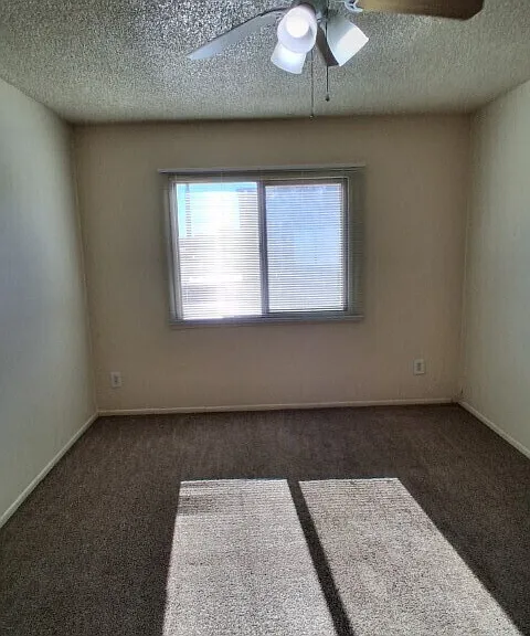 5305 W Lynwood St — Photo 27