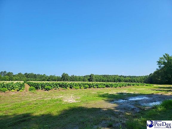 2nd image of 0 Guess Rd