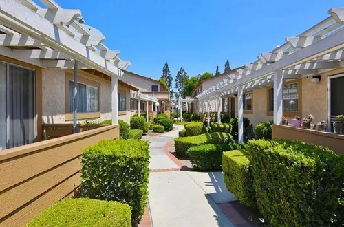 Orangewood Pines Photo 1