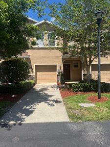 778 Spring Flowers Trl, Brandon, FL, 33511