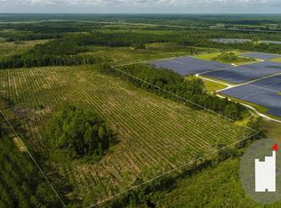 Blueberry Run, Interlachen, FL 32148