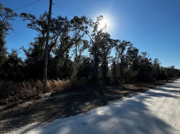  NE 867th St, Old Town, FL 32680