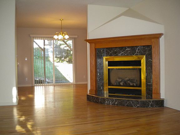 Gas Fireplace in Living Room