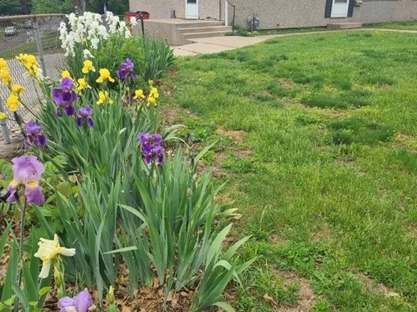 2308 Aull Ln, Lexington, MO 64067