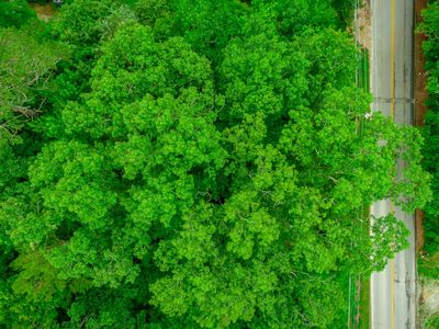 7441 Short Tail Springs Rd, Harrison, TN, 37341