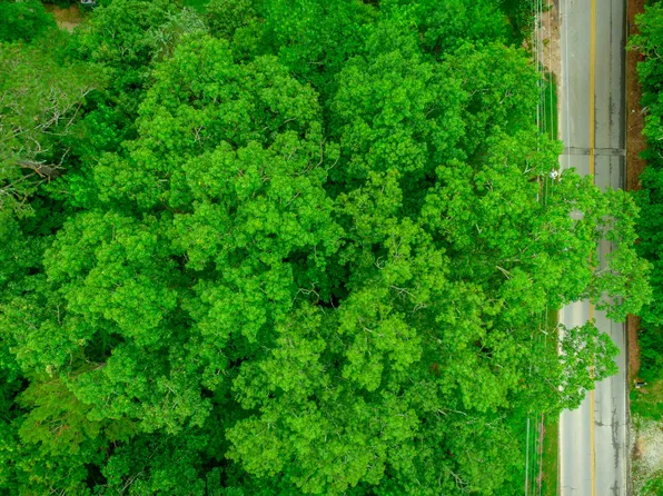 7441 Short Tail Springs Rd, Harrison, TN 37341