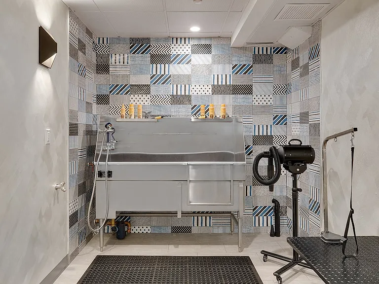Our pet spa makes bath time easy for your