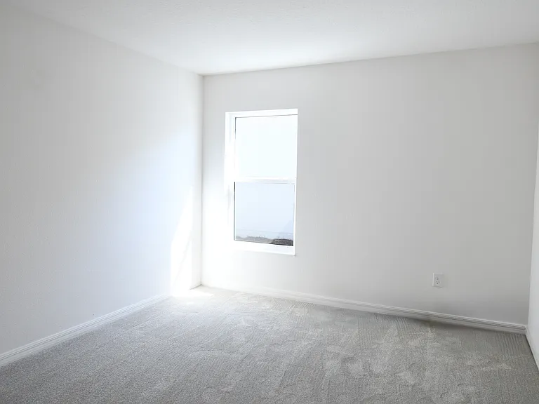 1173 Jello Dr — Photo 8