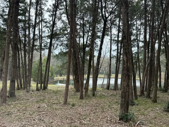 7 Evergreen Pnes, Willis, TX 77378