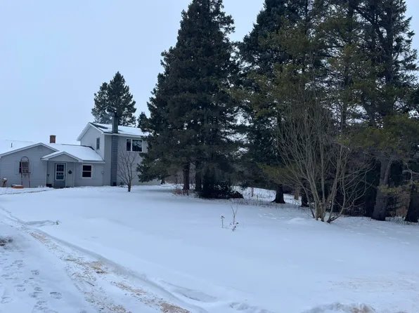 9376 S McKnight Rd, Dafter, MI 49724