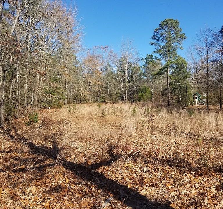 2nd image of 280 Taylor Mill Rd