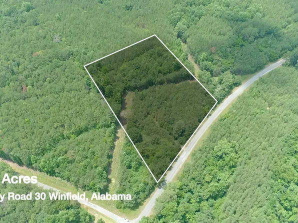County Road 30, Winfield, AL 35594