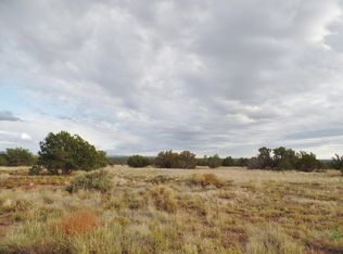 7695 Del Rio Dr LOT 28, Show Low, AZ 85901