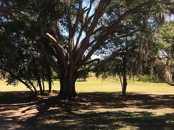 PATIO VIEW