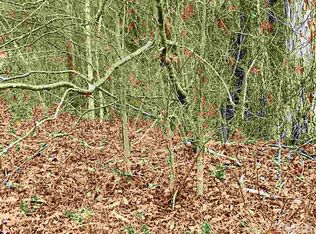 195 Maple Leaf Ct, Lillington, NC 27546