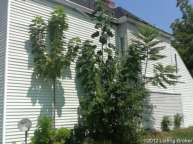 2nd image of 975 S Shelby St