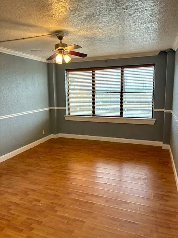 1 bed, 1.0 bath, 470 sqft, $800 — Photo 3