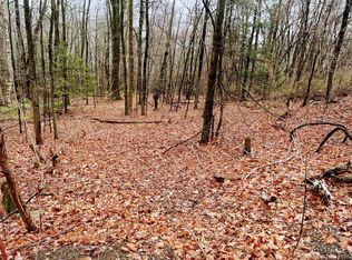 14 Fyler Rd, East Hartland, CT 06027