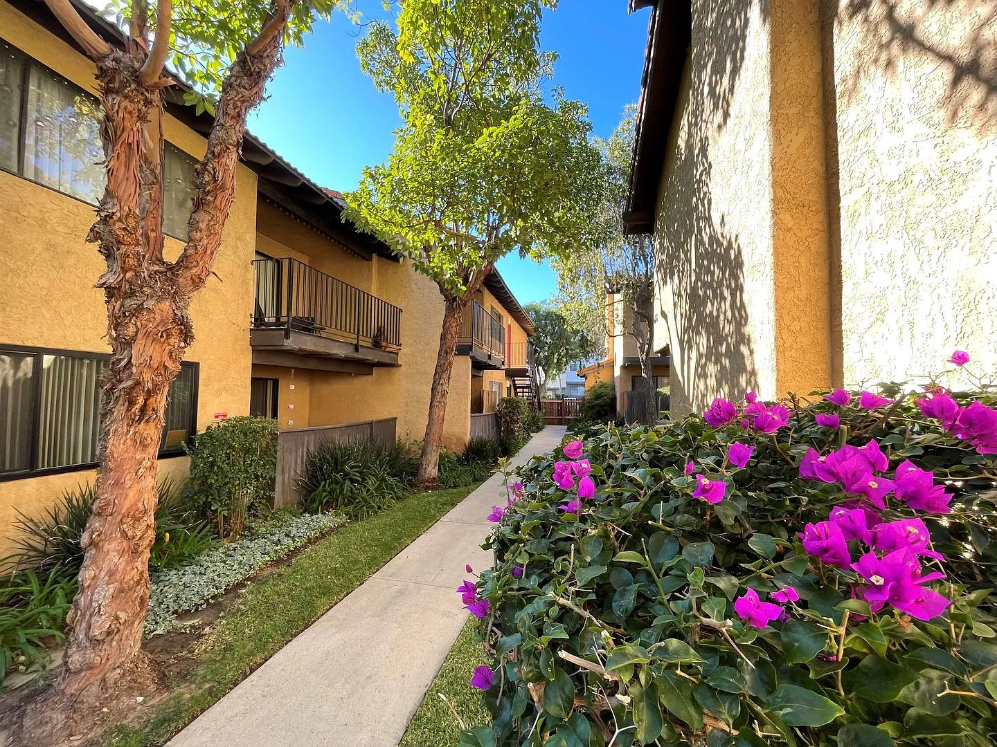 Del Norte Apartments — Photo 3
