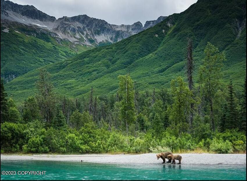 Nhn L8 9 B5 Chilkat Lake, Haines, AK 99827 Zillow
