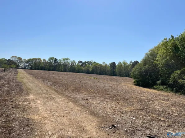 Wolf Creek Rd, Albertville, AL 35951