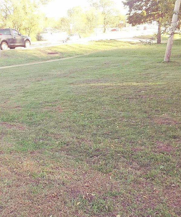 2nd image of 1010 N Wood Dr