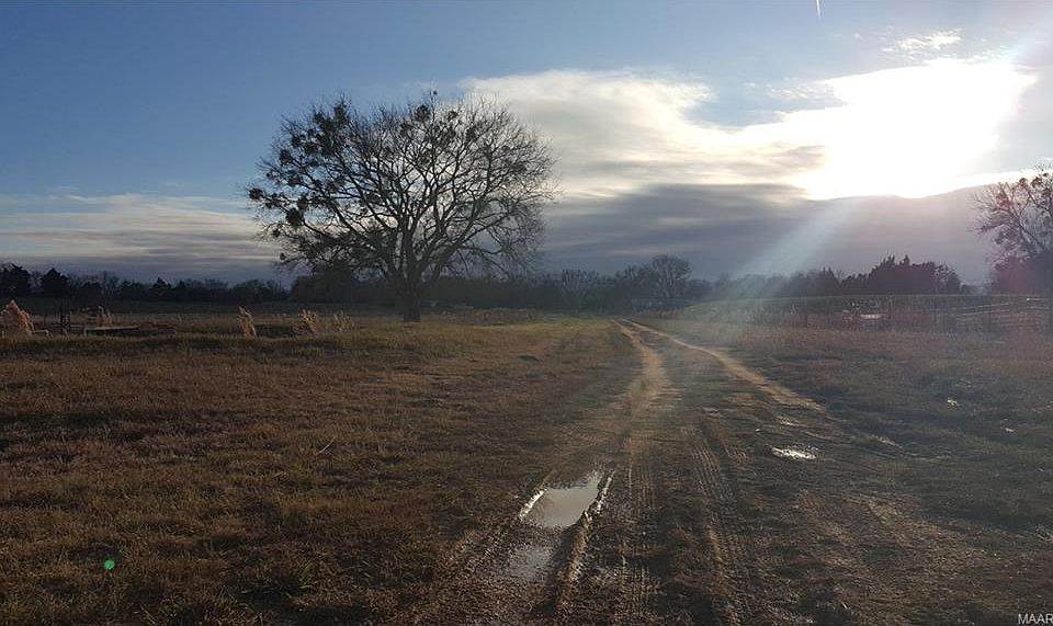 2nd image of 590 Lamar Rd